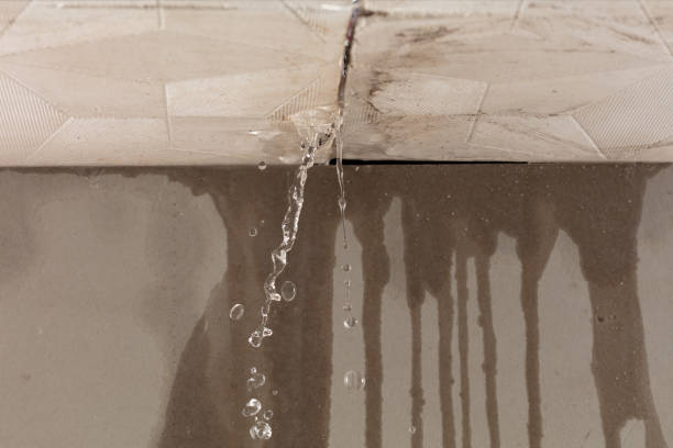 Professional Water Damage Repair technician working in Lake Dallas, TX